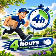 4 hours Despatch